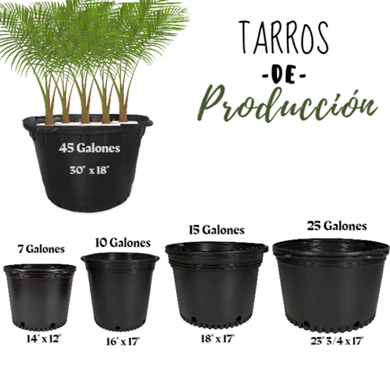 tarros-de-proteccion