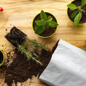 Lime,Green,Plastic,Plant,Pots,,Small,Garden,Trowel,,Spray,Bottle